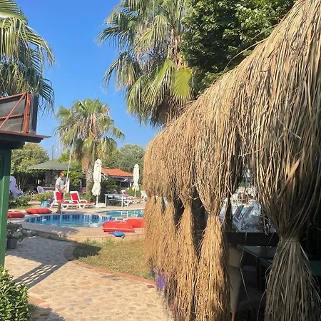 Sweet Horses Hh3 Hotell Didim